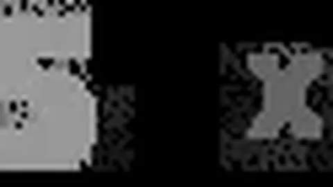 《国足惊喜官宣：朱鹏宇加盟，邵佳一盛赞新星；12日启程西征，备战西亚拉练之旅》