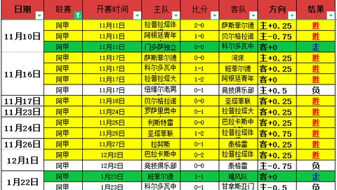 33岁奥斯卡重返巴甲圣保罗队官方宣布